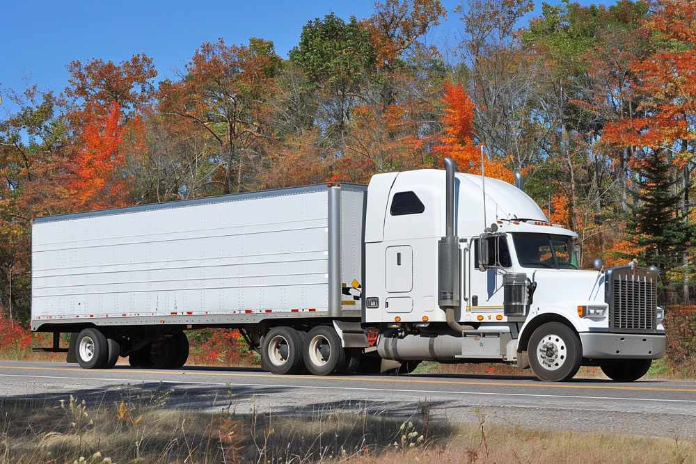 We work with you to craft policies that align with your business needs, providing specialized protection for diverse industries and cargo types.